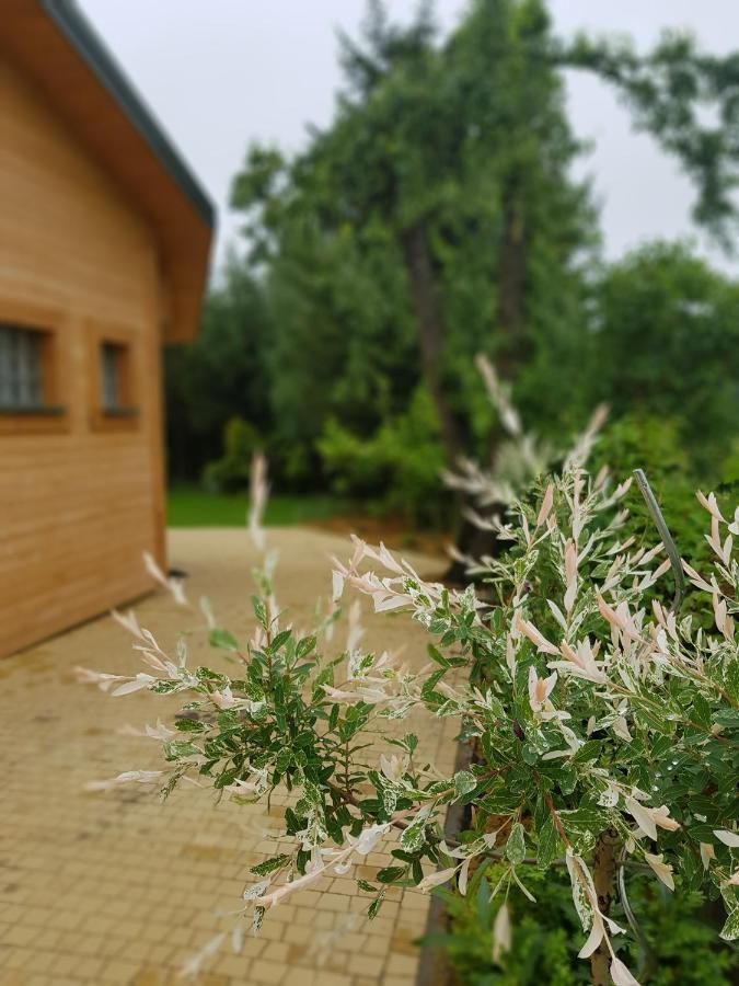 Kosiedlisko Villa Kraśnik Exterior foto